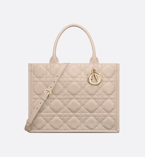 Dior Book Tote 미디엄 백