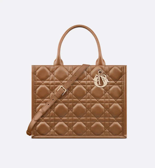 Dior Book Tote 미디엄 백