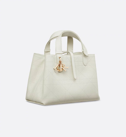 Dior Toujours 미디엄 백