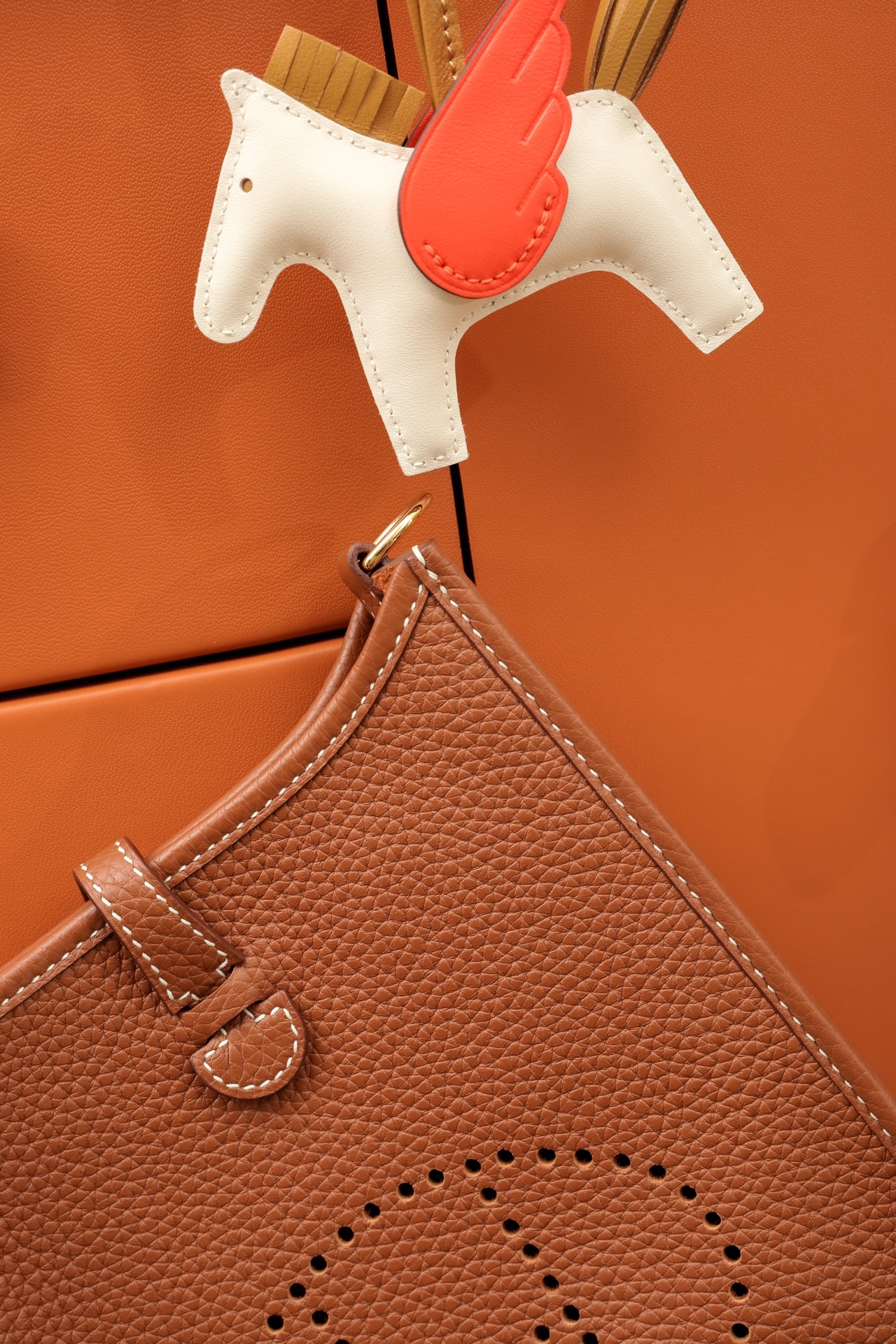 modal image 20