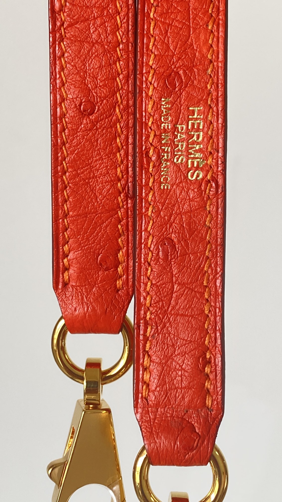 modal image 7