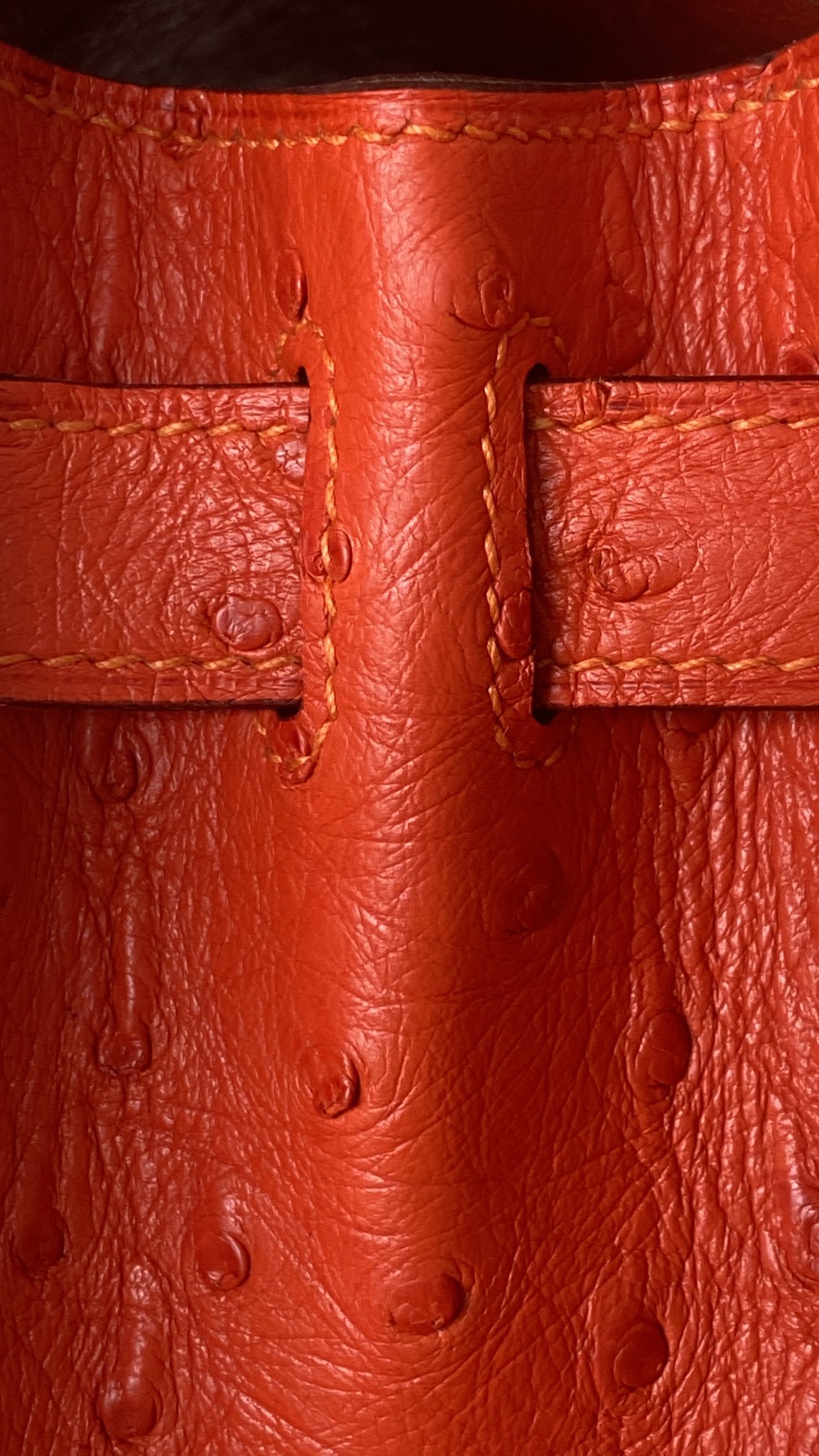 modal image 13