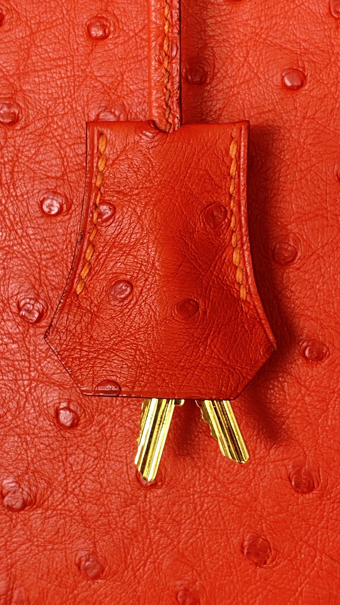 modal image 17