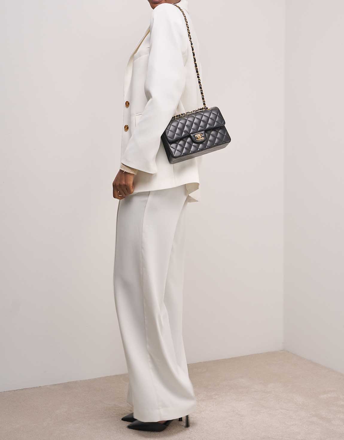 modal image 6